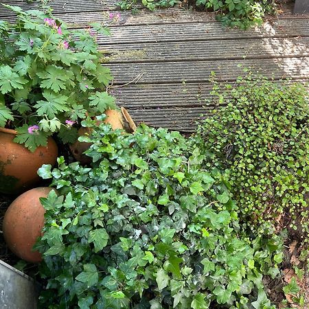 Bed En Breakfast Medemblik Bagian luar foto